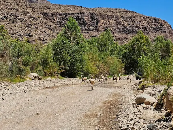 Diamond creek road route 66